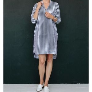 Everlane Cotton Poplin Pinstripe Collarless Dress